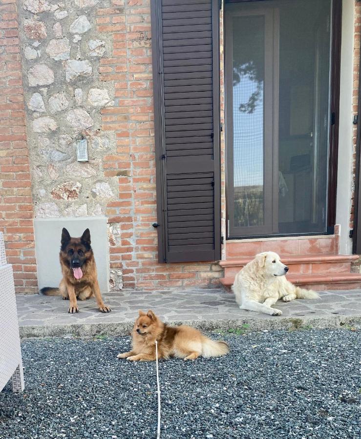 Casa Vacanze Arcobaleno Grosseto Zewnętrze zdjęcie