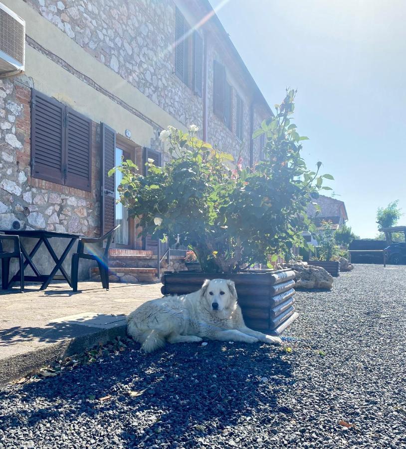 Casa Vacanze Arcobaleno Grosseto Zewnętrze zdjęcie